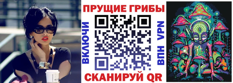 купить наркоту  Абакан  Псилоцибиновые грибы GOLDEN TEACHER 
